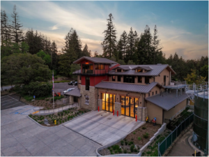 redwood-1
